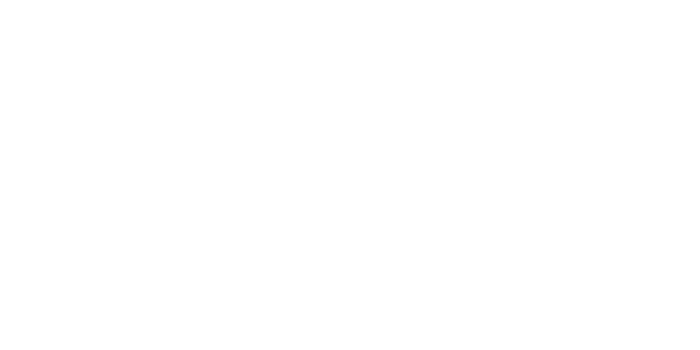 the link school logo