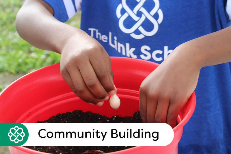 child at the link school building a better community by planting vegetables